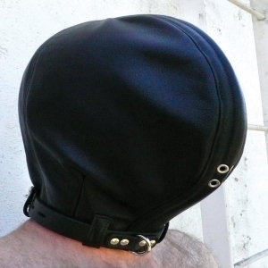 Insect Hood